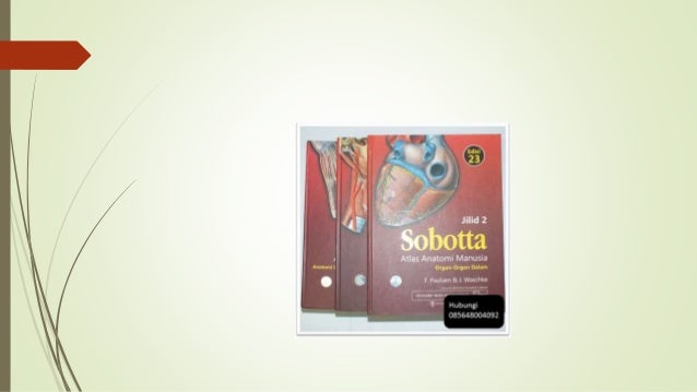 Buku Anatomi Fisiologi Manusia Pdf